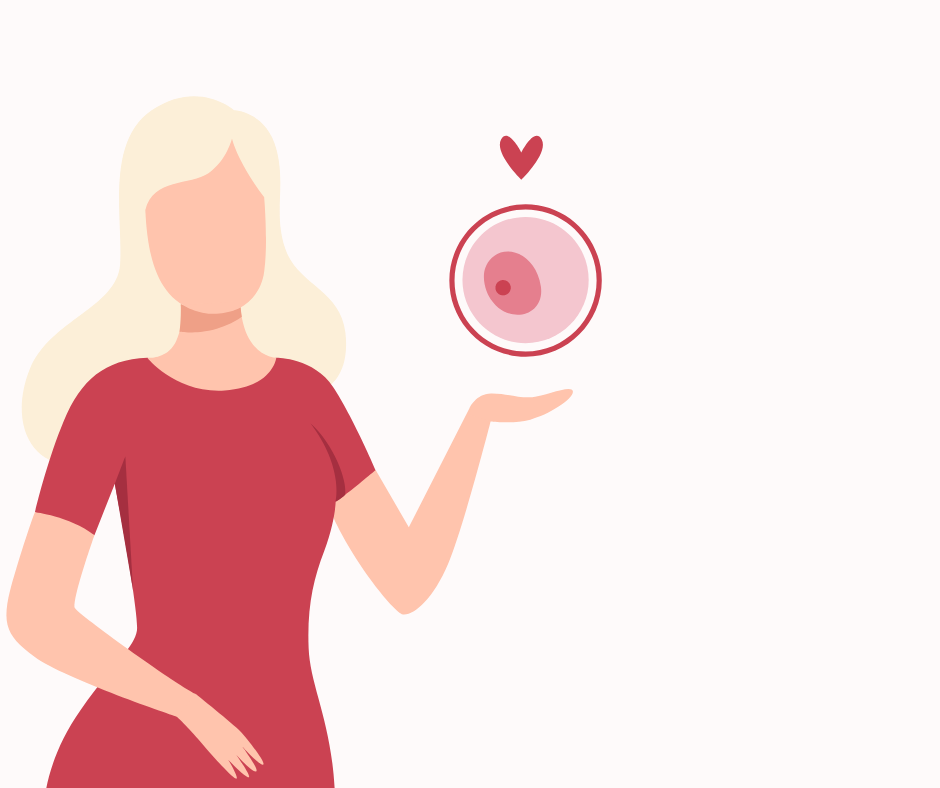 a woman holding a fertilized egg and a red heart above the egg