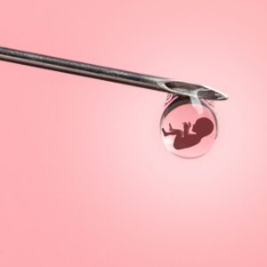 an embryo hanging from a needle, in a pink background